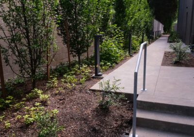 commercial landscaping project