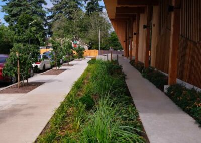 commercial landscaping project