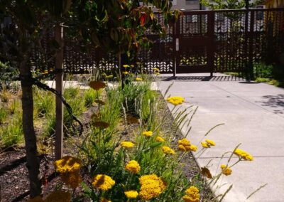 commercial landscaping project