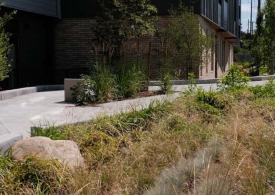 commercial landscaping project