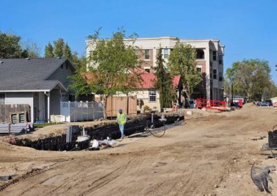 commercial project Idaho eagle