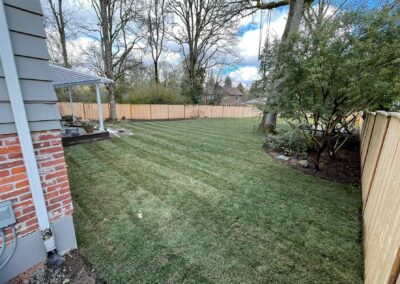 residential project grass install